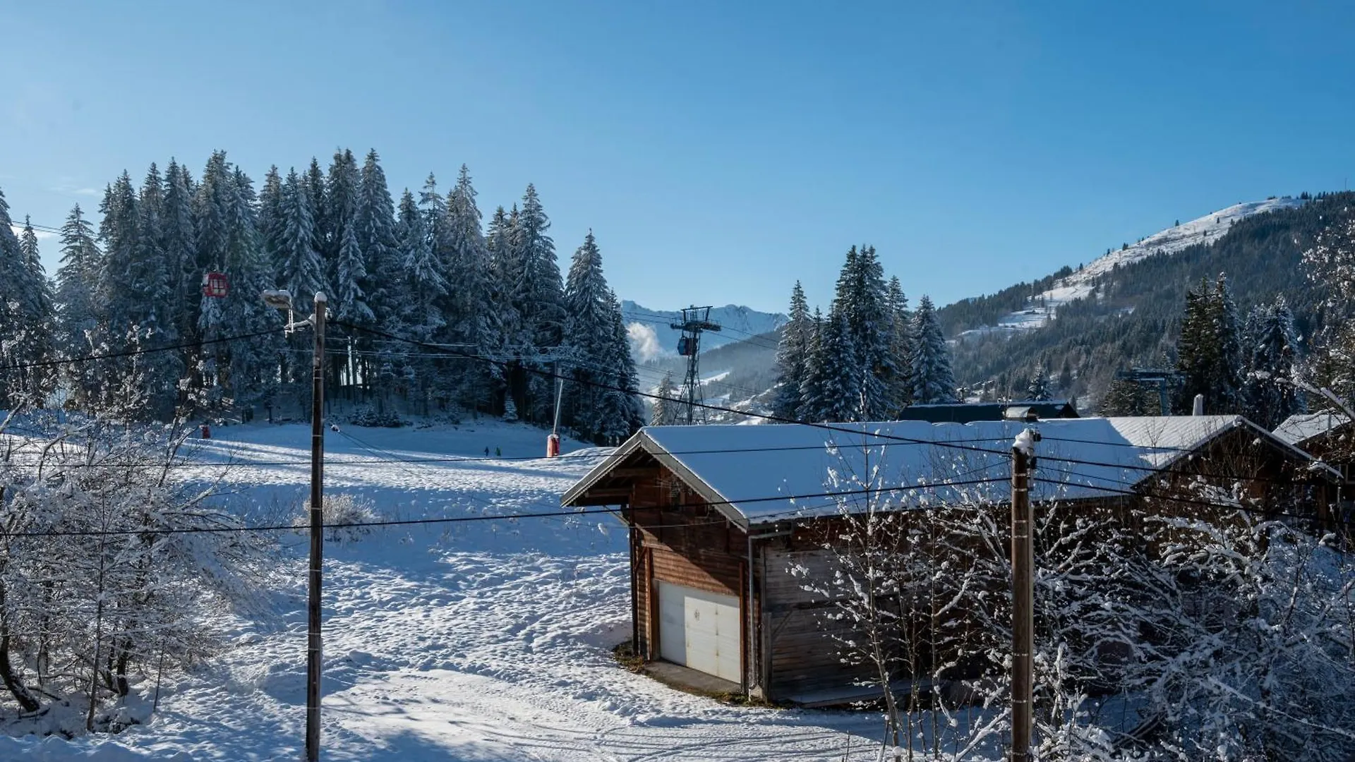 Chalet Le Grizzly Les Gets 0*,  Frankreich