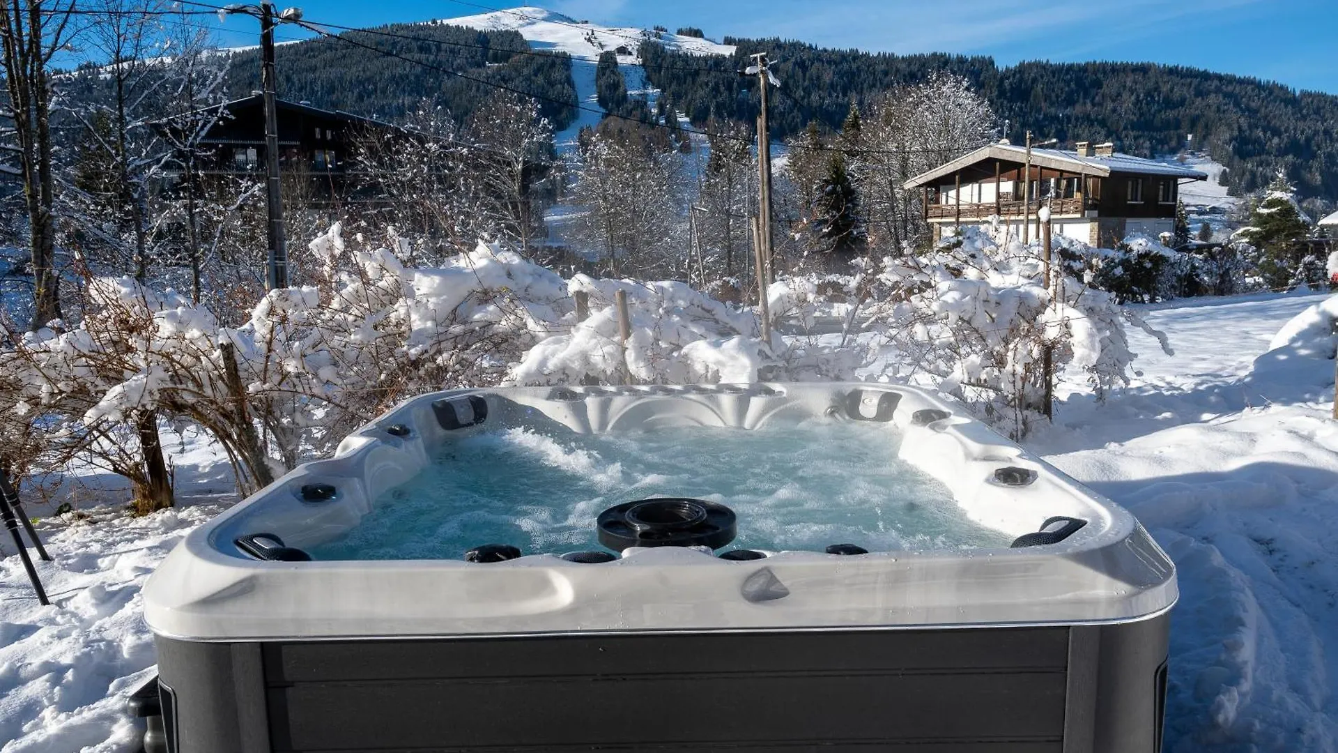 Chalet Le Grizzly Les Gets Frankreich